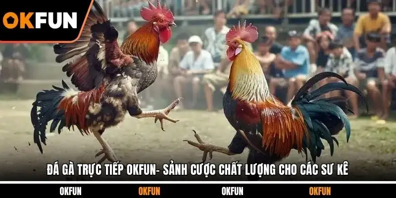 đá gà trực tiếp