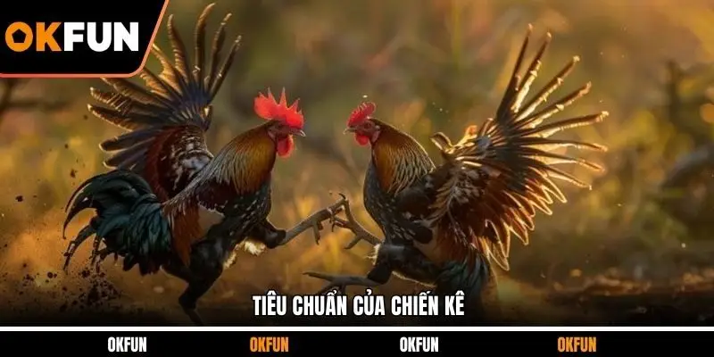 Tiêu chuẩn của chiến kê