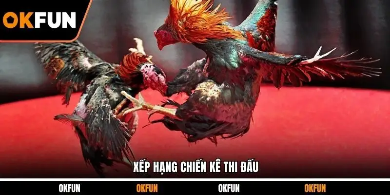 Xếp hạng chiến kê thi đấu